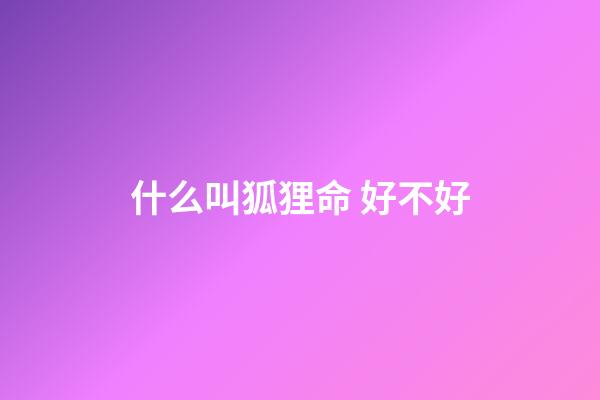 什么叫狐狸命 好不好